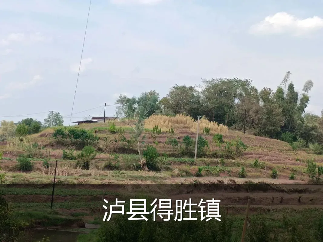 泸县得胜镇