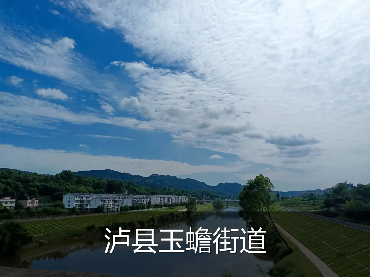 泸县玉蟾街道