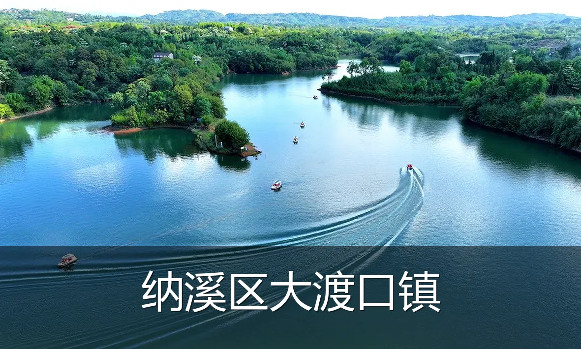 纳溪区大渡口镇