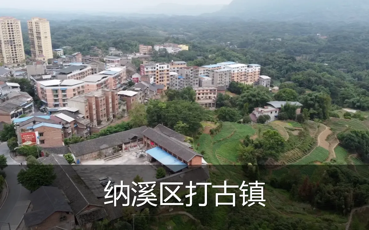 纳溪区打古镇