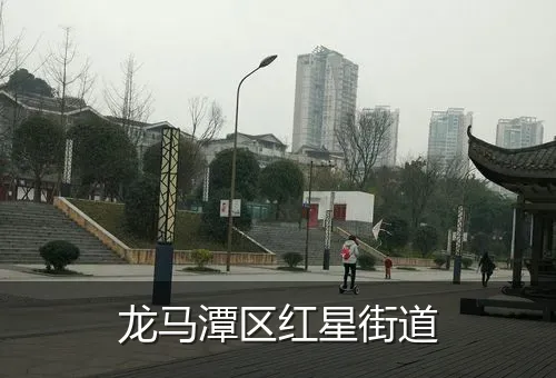 龙马潭区红星街道