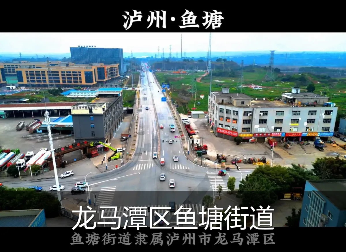 龙马潭区鱼塘街道