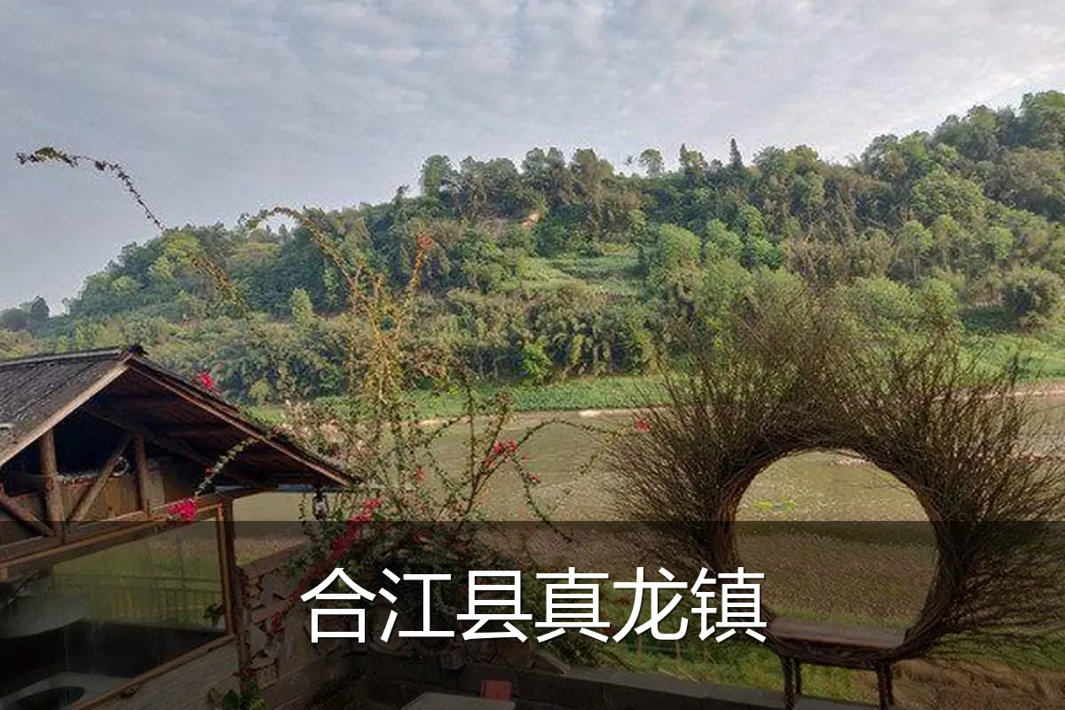 合江县真龙镇
