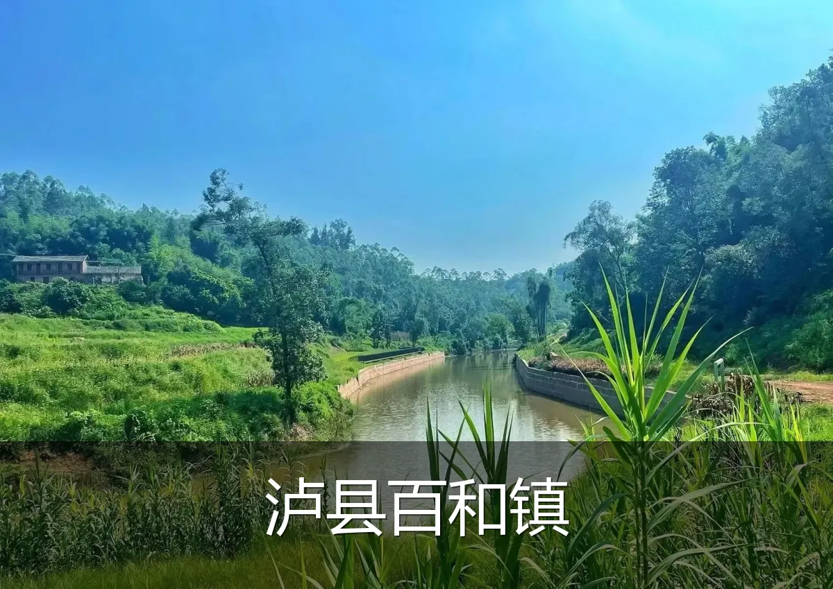 泸县百和镇