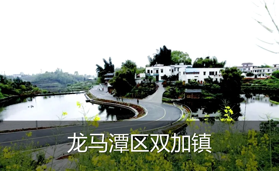 龙马潭区双加镇