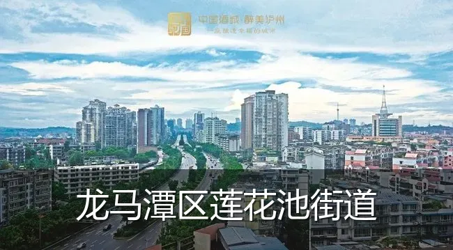 龙马潭区莲花池街道