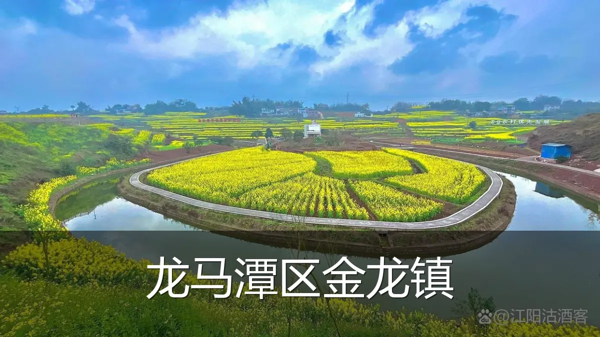龙马潭区金龙镇