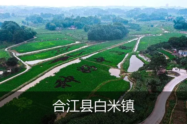 合江县白米镇