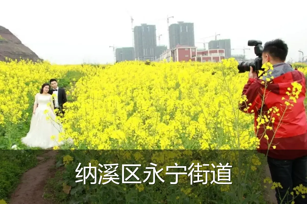 纳溪区永宁街道